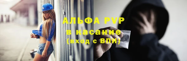 ECSTASY Богородицк