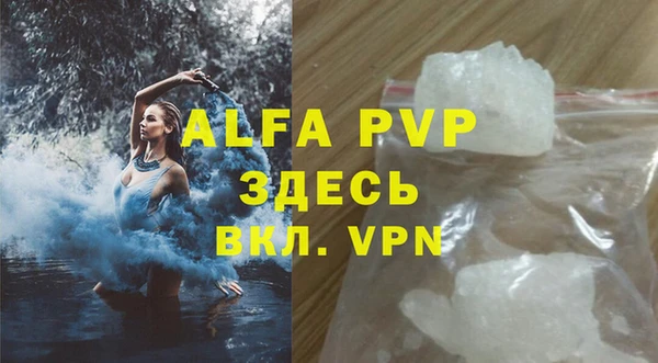 ECSTASY Белокуриха