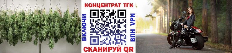 ТГК Wax  Богородицк 